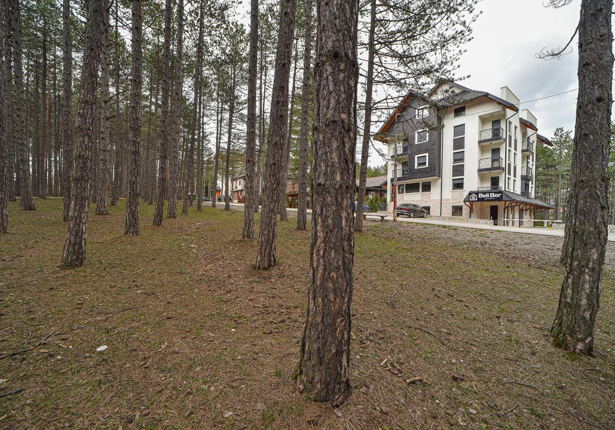 Beli Bor Zlatibor Lejlighedshotel Eksteriør billede